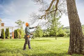  Myrtle Grove, NC Tree Services Pros